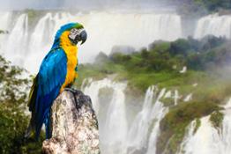 Alidays_Iguazu Falls_shutterstock_168056360