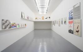 01_Mari,installation view at Galleria Minini,2015, first room