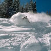 Sciatore in neve fresca 1 - Skier and powder