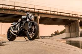 6-XDiavel by Roland Sands 25