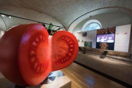 Museo del Pomodoro interno01