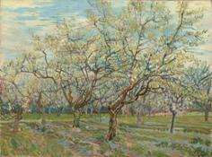 Vincent van Gogh - De witte boomgaard HR