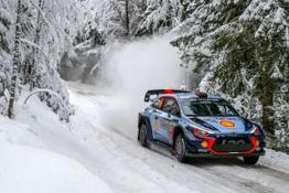 Rally Sweden 4
