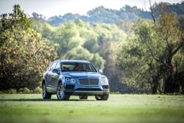 Bentley-Veneer-Hunters-6769