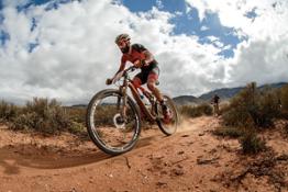 Wilier Force Cape Epic 0320