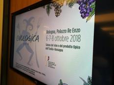 Enologica 2018 Conferenza Stampa Mi manifesto