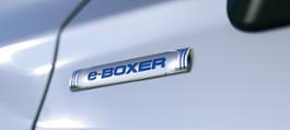 e-boxer-teaser-picture