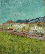 View of the Alpilles Van Gogh