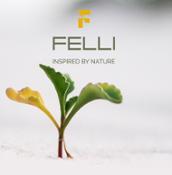 felli01 ed