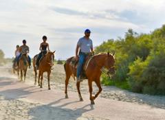 Villaggio Barricata-equitazione con Ranch del Mare