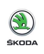 170313-ŠKODA-Logo (1)