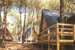 Spina Family Camping Village - mobilhome chalet