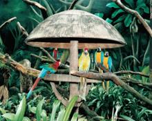 Armin Linke per la Diciassettesima Giornata del Contemporaneo, Jurong Bird Park, Singapore, 1999 – 2021