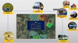 Smart Farm Experience 599429