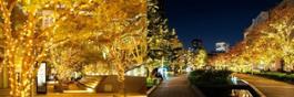 (C)Tokyo Midtown Management Co., Ltd. Midtown Winter Lights