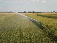 Consorzio bonifica - irrigazione