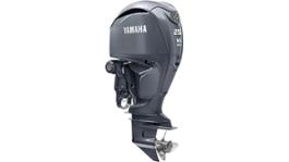 Yamaha gamma V6