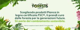 FSC®-Forest-Week-Web-Banner-2200-x-840-Light
