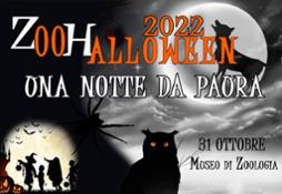 Halloween2022-notte