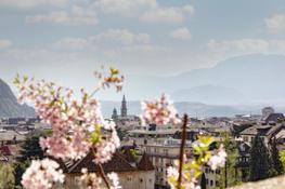Primavera a Bolzano