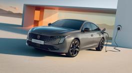 PEUGEOT ELECTRIFIES YOUR HOME (3)