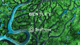 Bentley Environmental Foundation - 1