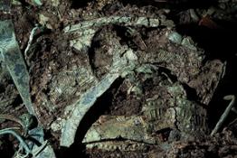 Anfora biconica in lamina di bronzo decorata a sbalzo schiacciata dal crollo della copertura della tomba