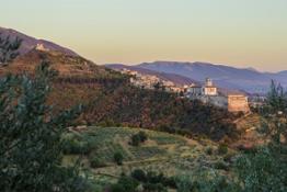 Bosco di San Francesco, Assisi (PG) Foto Roberto Berti 2012 (C) FAI