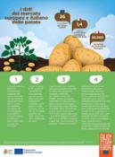 Potatoes Forever infografica giugno 2023