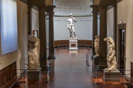 Galleria dell'Accdemia di Firenze David - Prigioni  Foto Guido Cozzi 373943
