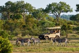 INEOS Grenadier Safari Vehicle by INEOS Kavango 4