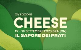 grafica cheese 2023-2048x1280