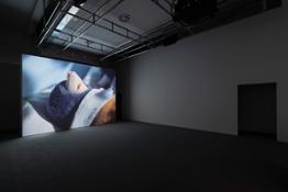 4. Diego Marcon. Glassa, Installation View, Centro per l’arte contemporanea Luigi Pecci, immagini di Andrea Rossetti   images