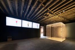 Vittorio Corsini, Coniugato al presente, installation view