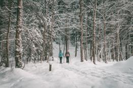 Schneeschuhe Wanderung im Schnee ofp kommunikation
