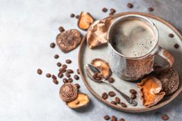 CiboCrudo mushroom coffee