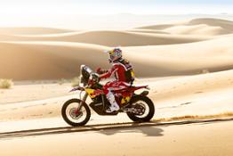 Daniel Sanders - Red Bull GASGAS Factory Racing - 2024 Dakar Rally-1