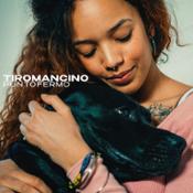 Tiromancino - cover singolo Puntofermo