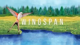 wingspan key art