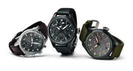 10 IWC Pilots Watches Group