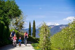 Bici e fiori 1b - Familienhotels Alto Adige