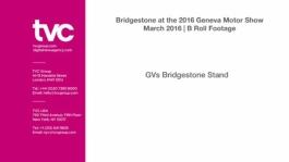 GVs_Bridgestone_Stand