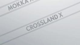 New-Crossover-Model-Crossland-X