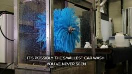 Nissan Mini Car Wash Video