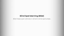 Blind Spot Warning 