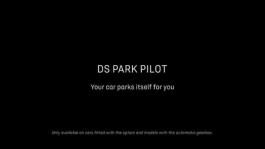 DS PARK  PILOT EN