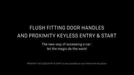 DS FLUSH FITTING DOOR HANDLES EN (2)
