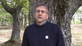 Speech Antonio Brunori, segretario generale PEFC Italia - Tree Talker.mp4