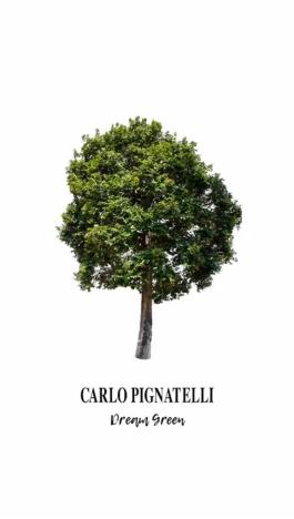 2. IG STORY Carlo Pignatelli