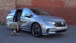 2021 Honda Odyssey Rear Seat Reminder with Dog